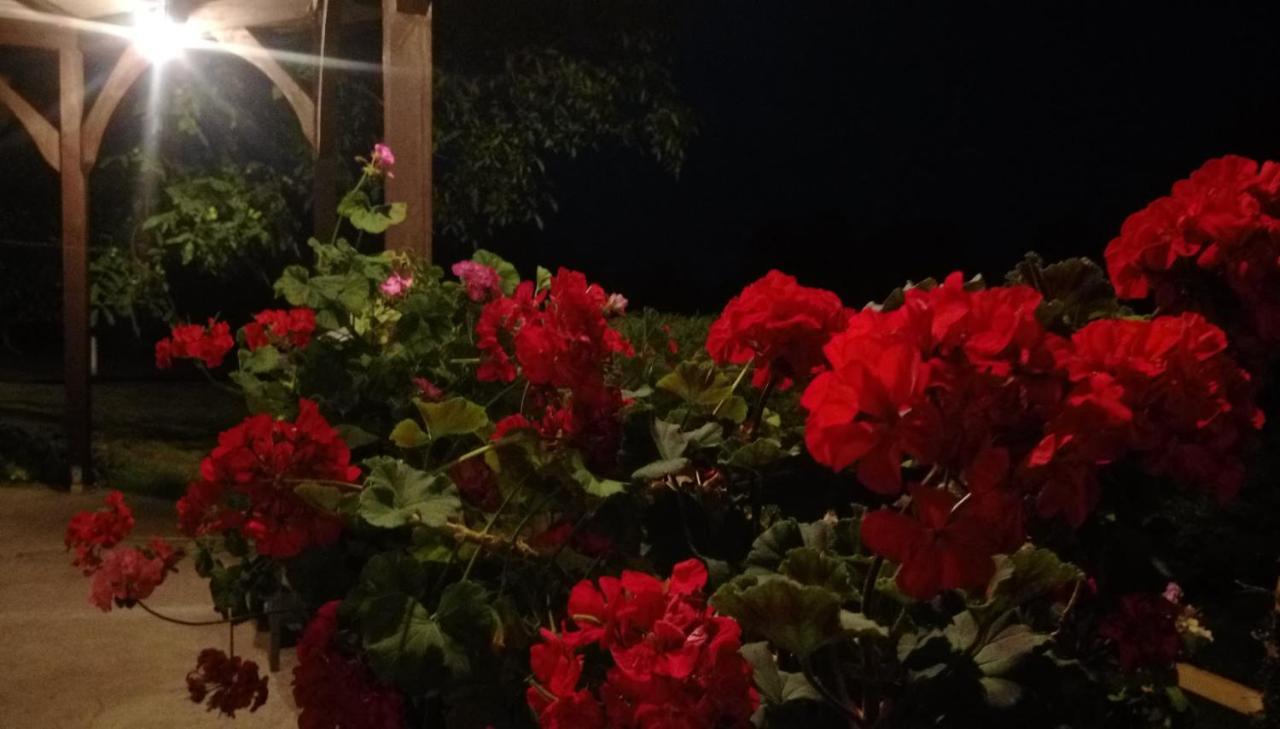 Pokoje Goscinne Gazda Polanica-Zdrój Exteriör bild